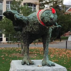 Meet your Posher, Sylvia